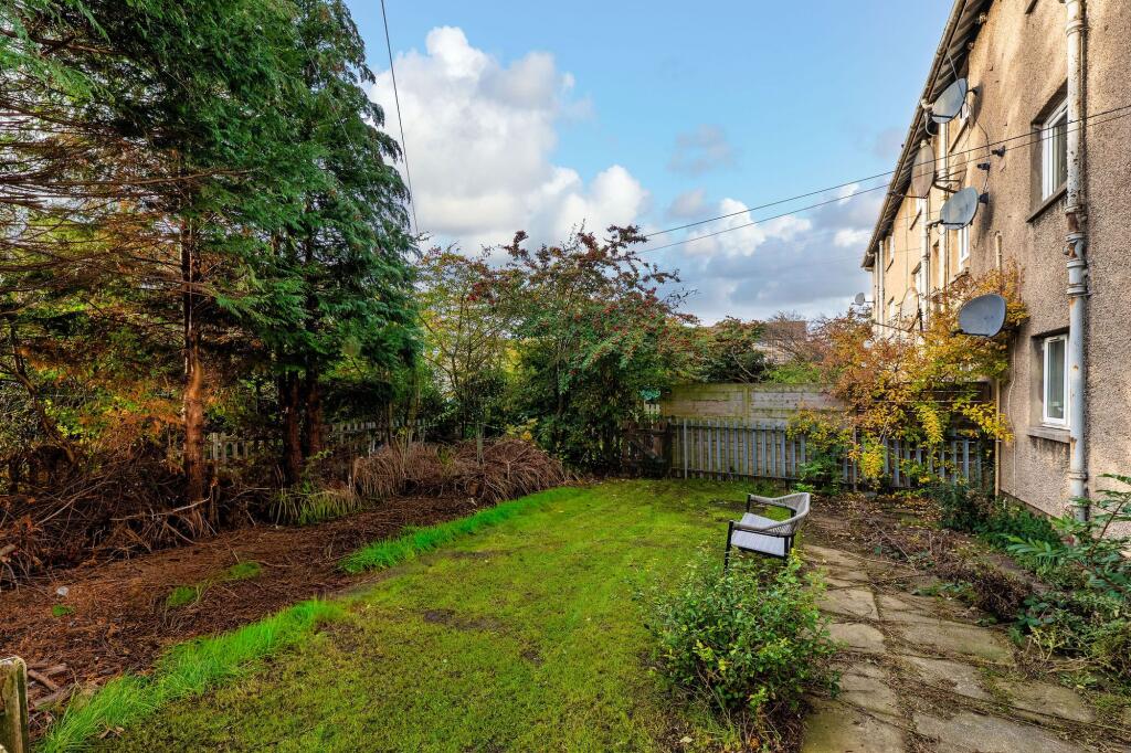 Back garden