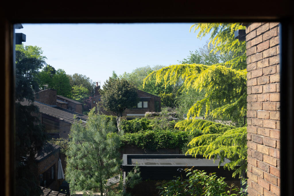 281138 - DSC07216.jpg