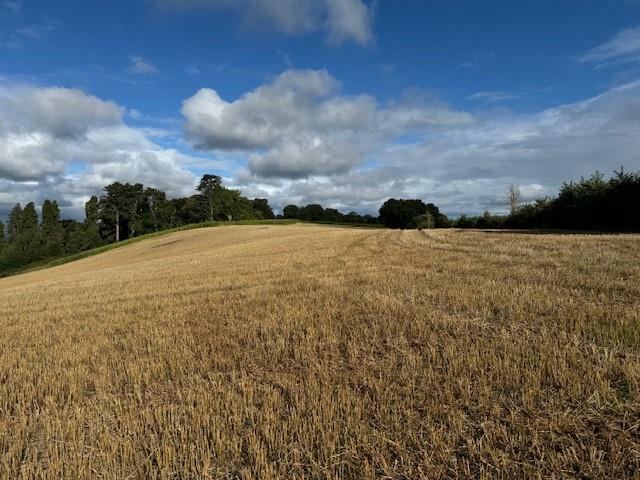 Photo 1.jpg