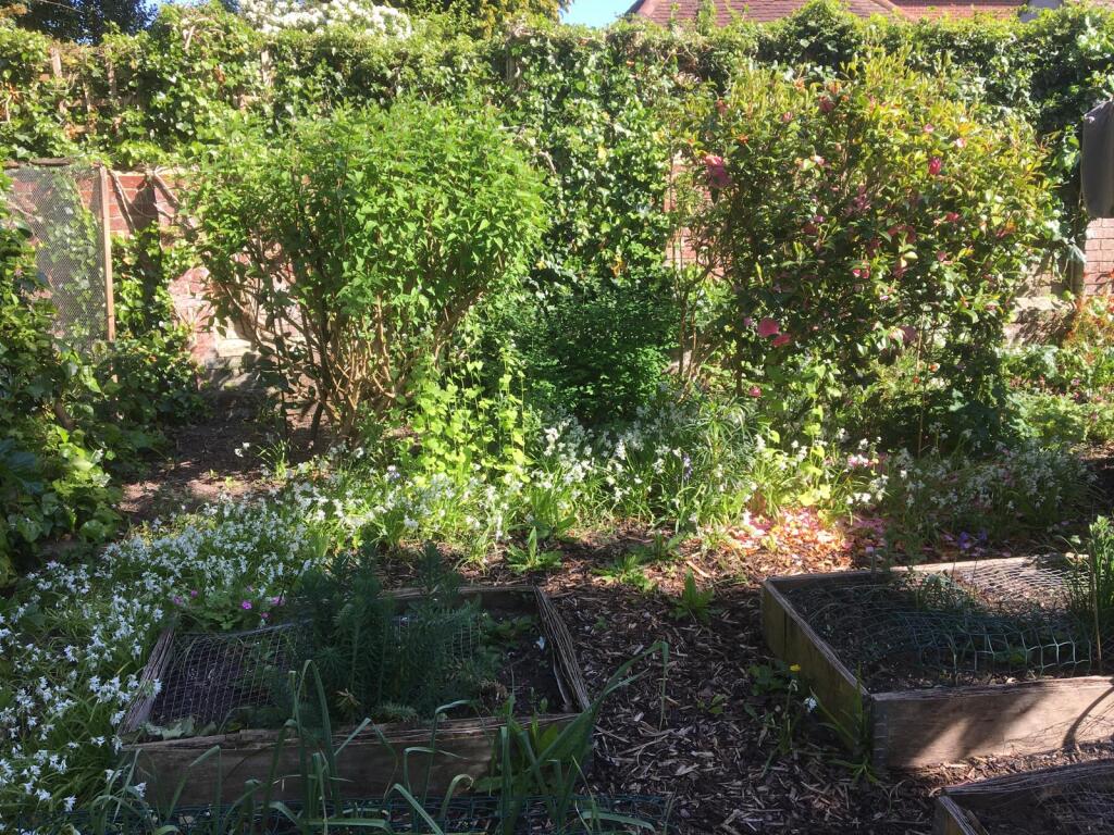 Garden 5