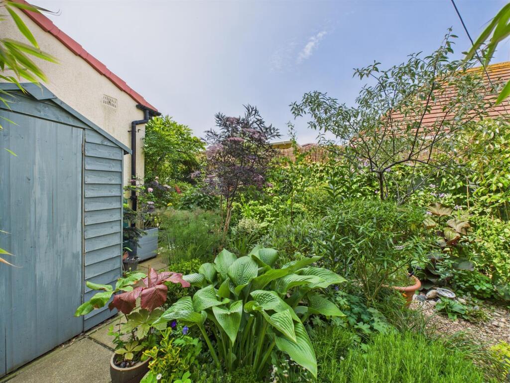 Garden: