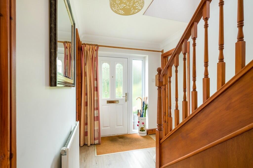 1440px-Hedgehogs-...