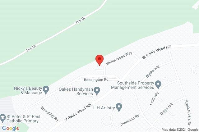 Google Maps Image