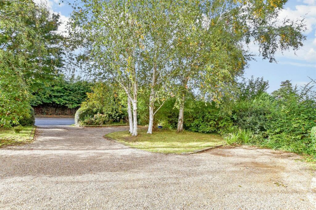 Driveway/Parking