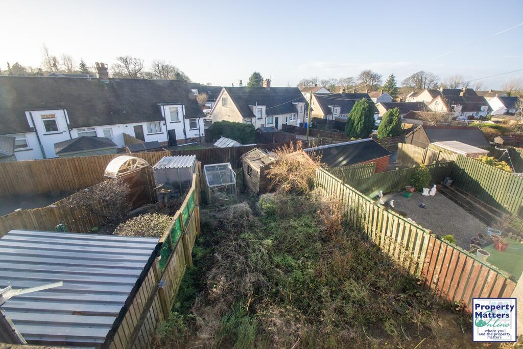 Back garden