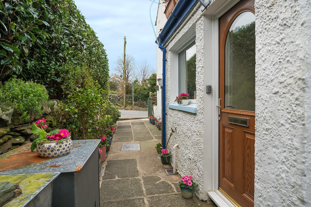 Rear Pedestrian A...