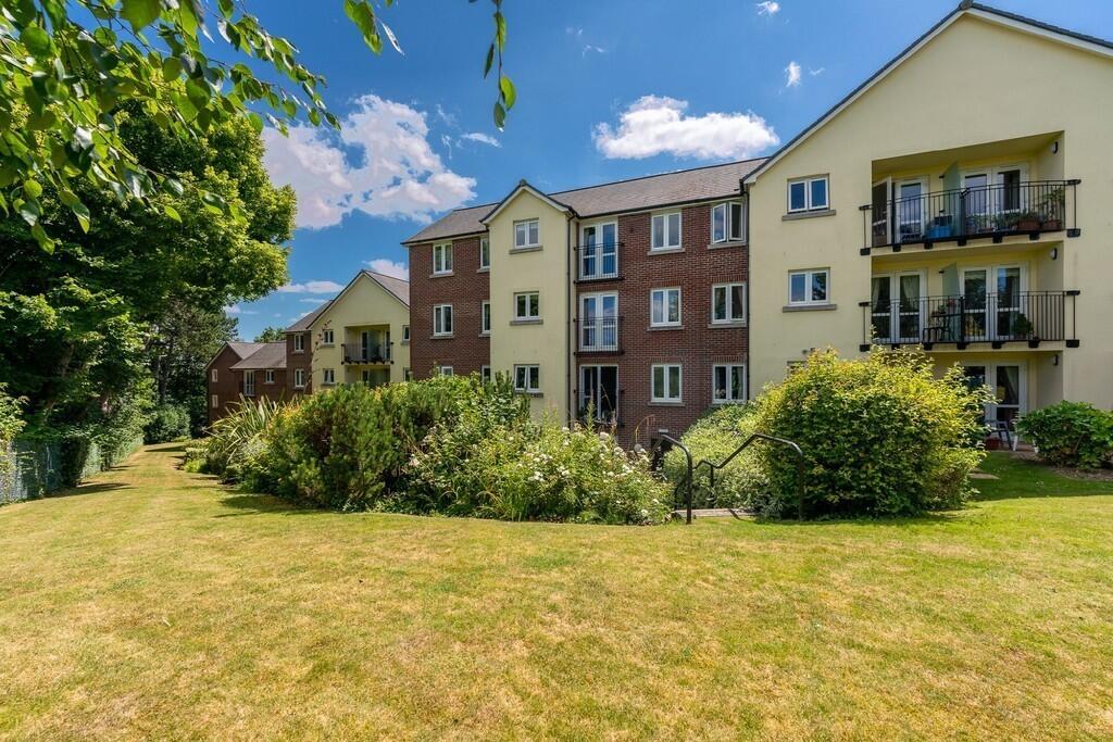 IMG_24508_11_larg...