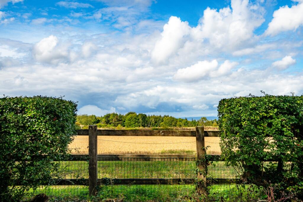 Rural views