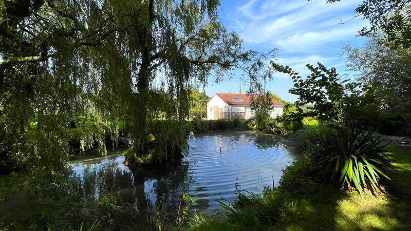 Pond