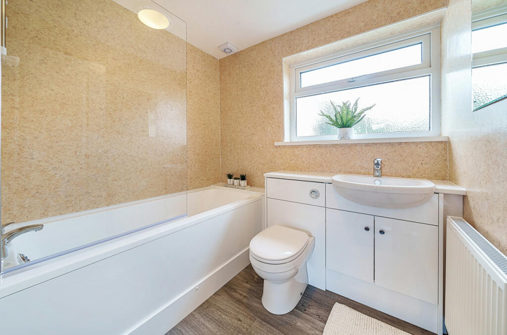 1037198 (8).jpg