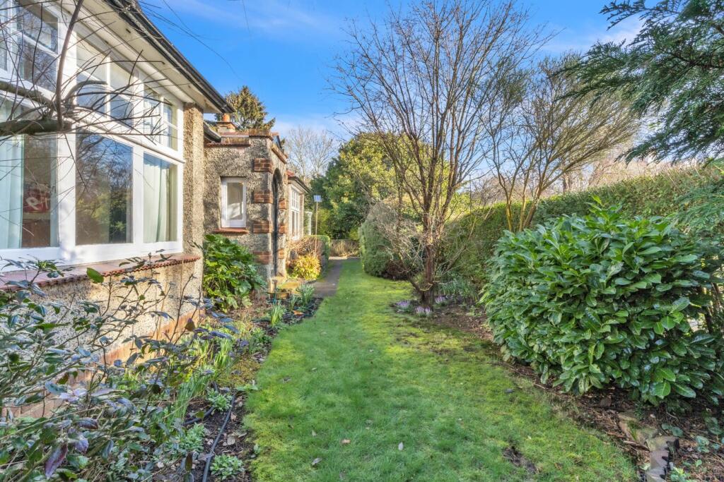 Side Garden