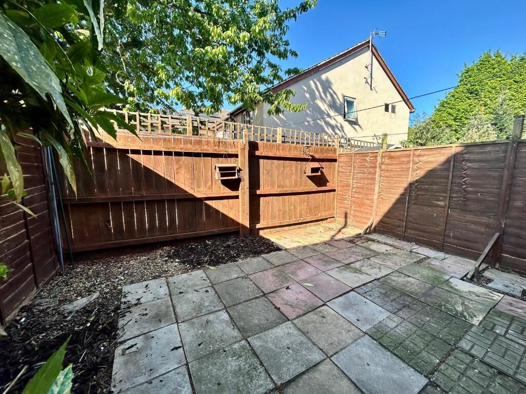 Rear Yard 