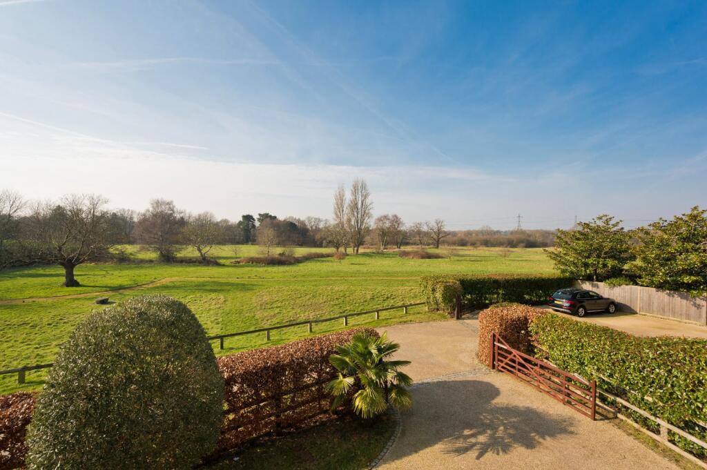 Meadow View