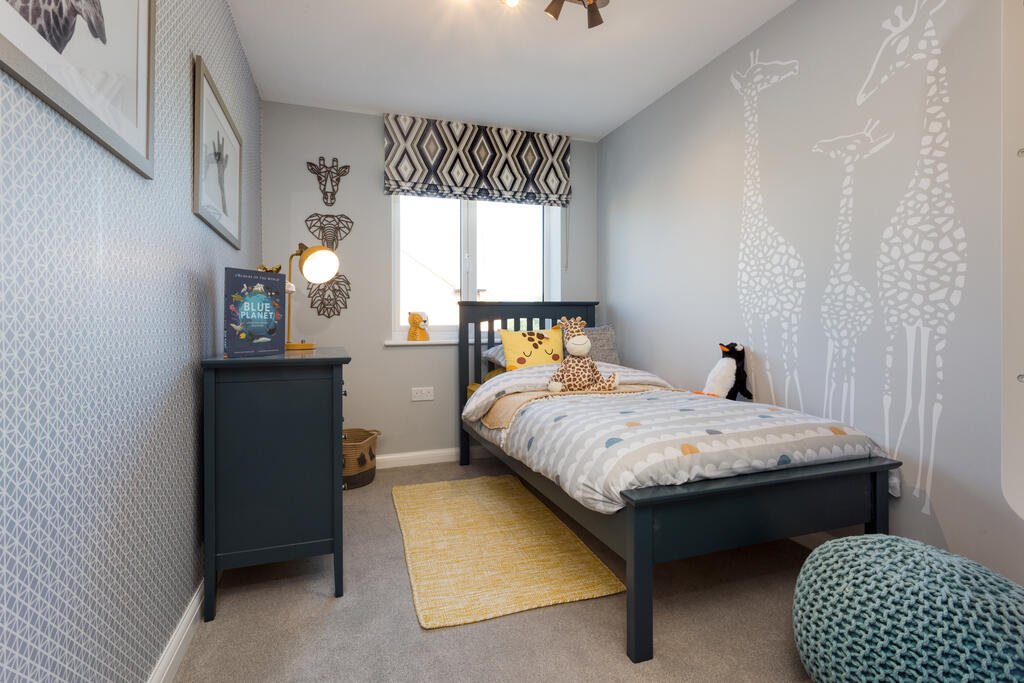 BH NHC MOLNY spruce2_19