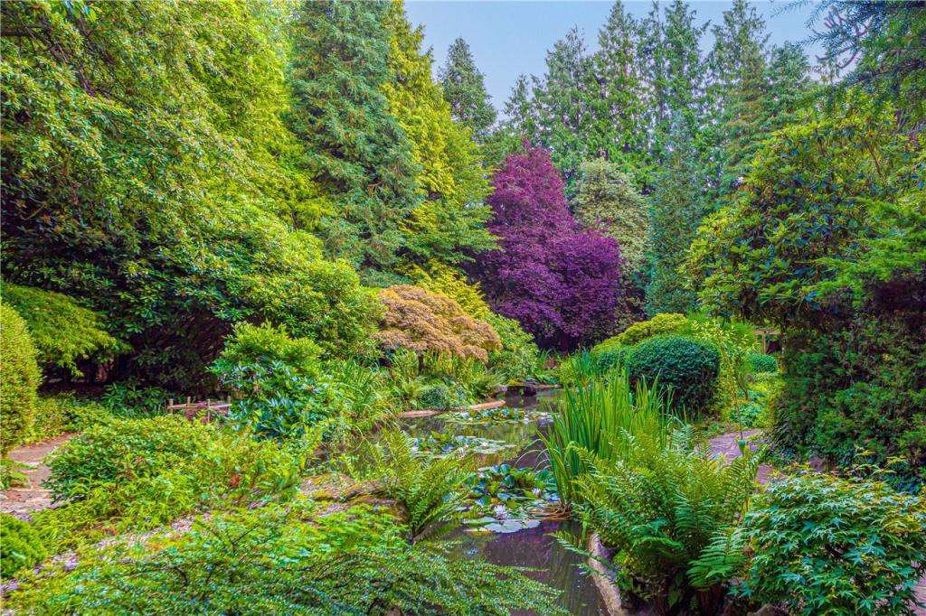 Water Garden