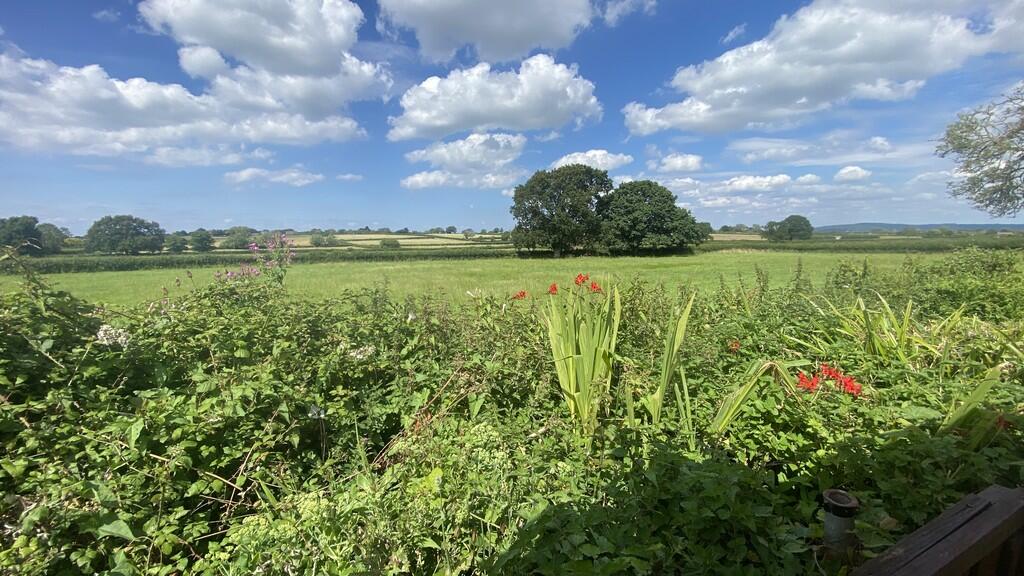 IMG_E8262