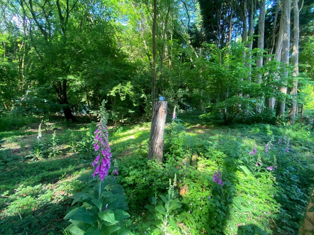 Land photo