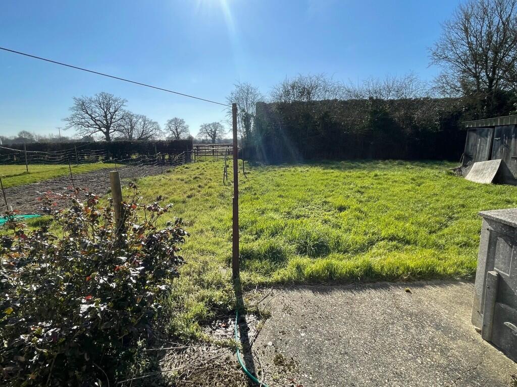 U  Medium  T202503111331.jpg