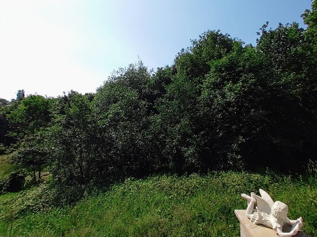 IMG_20230612_1039...