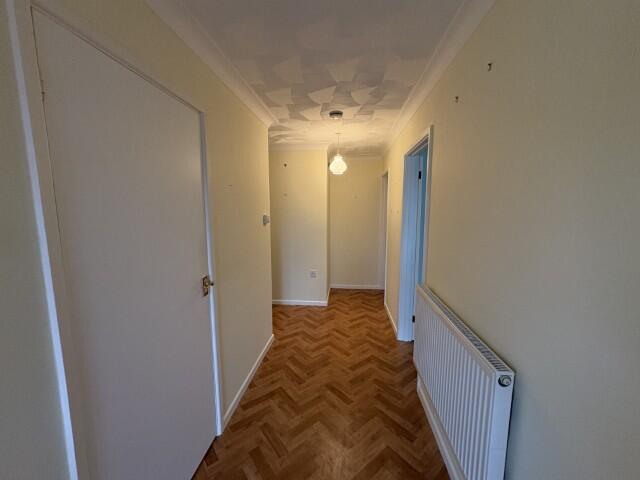 8  Small  T202511131246.jpg