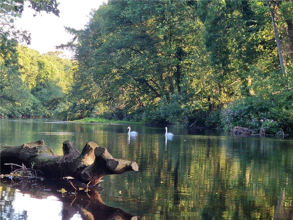 River Frontage