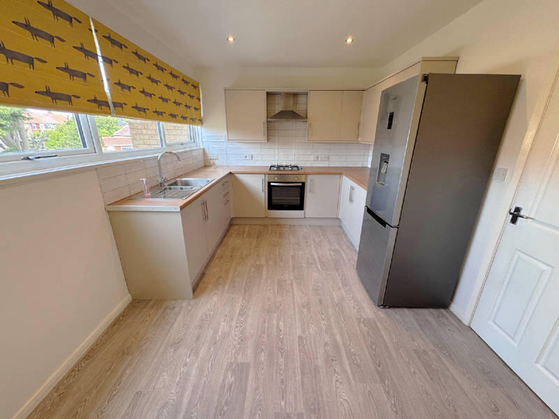 Modern Dining Kitchen