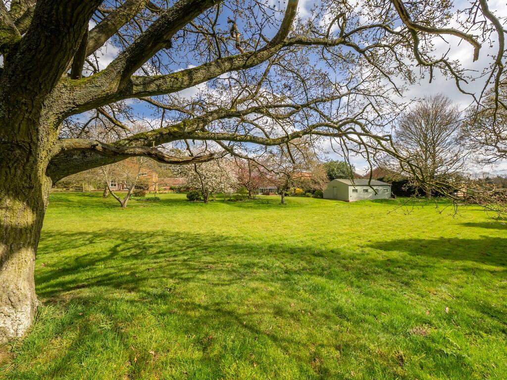 ParkFarm-51