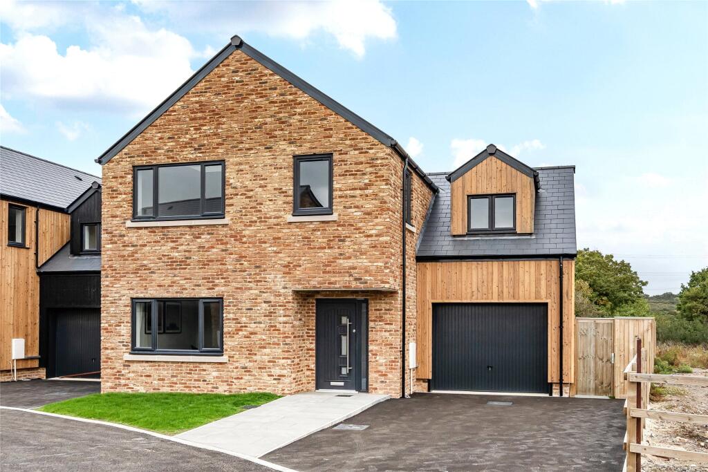 Plot 8