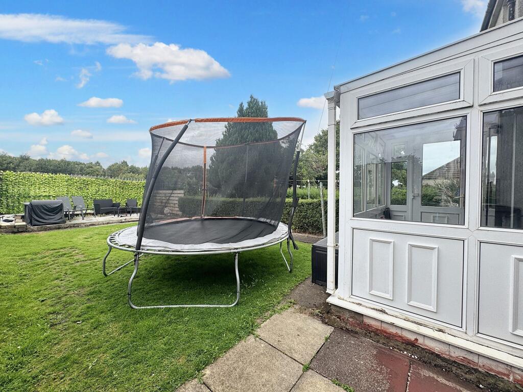 Back Garden