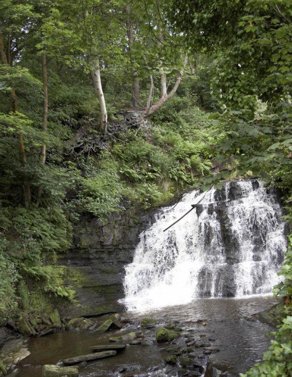 Waterfall on site