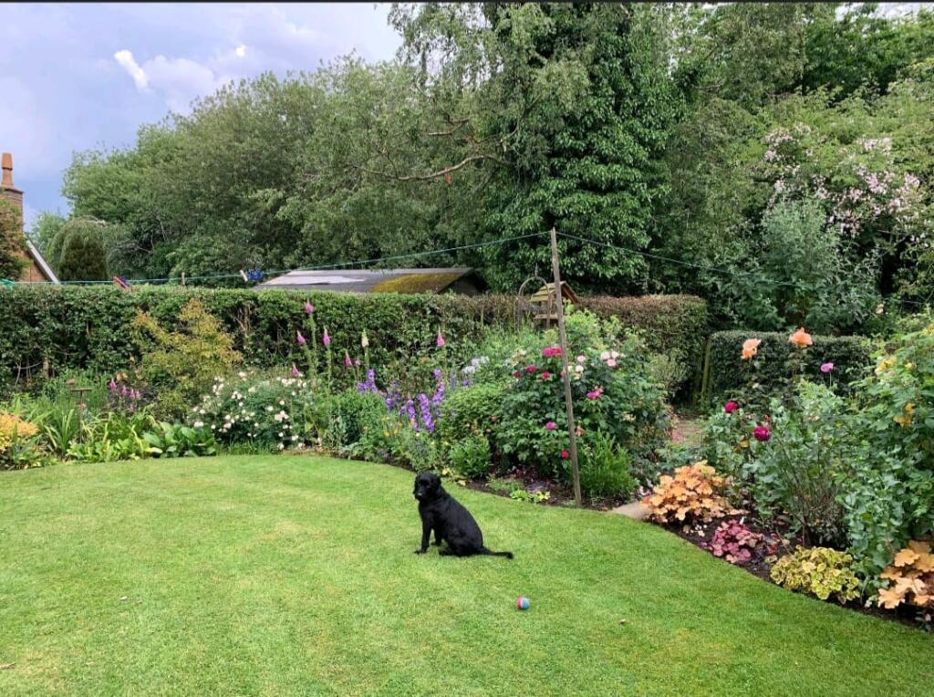 21 Summer Garden