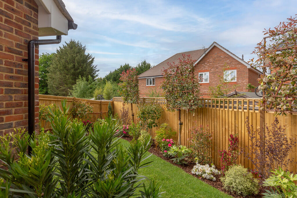 plot9knightsgreen...
