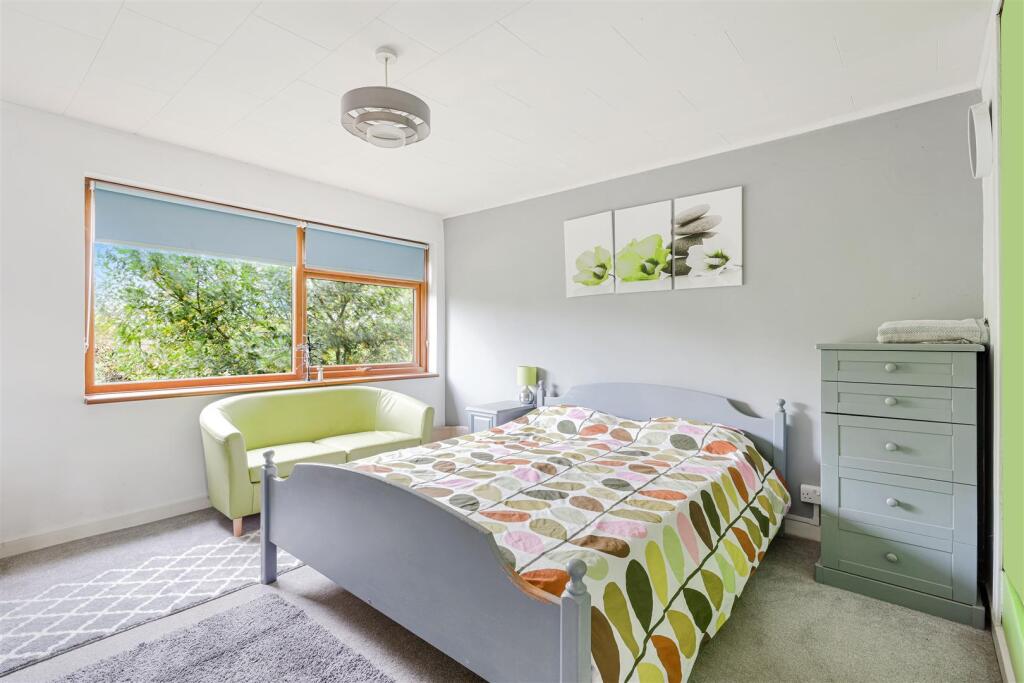 ROSE BUSHES, 63 (18).jpg