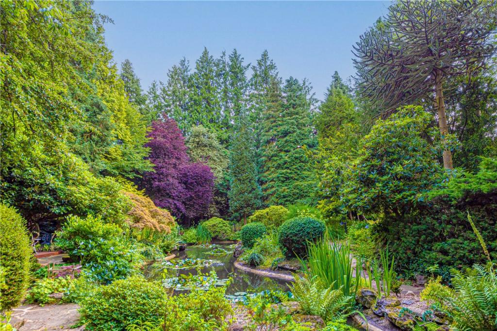 Water Garden