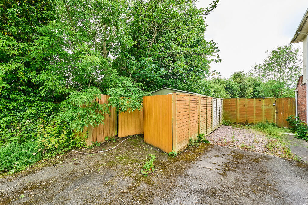 P1462383 T202505302116.jpg