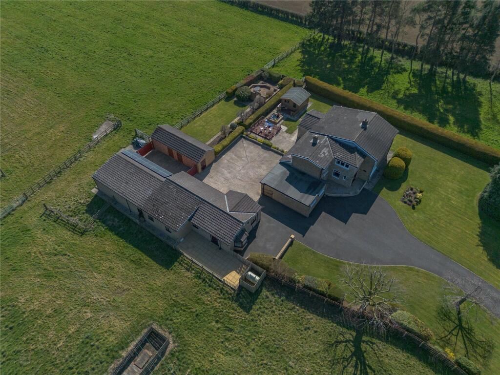 Arial Image