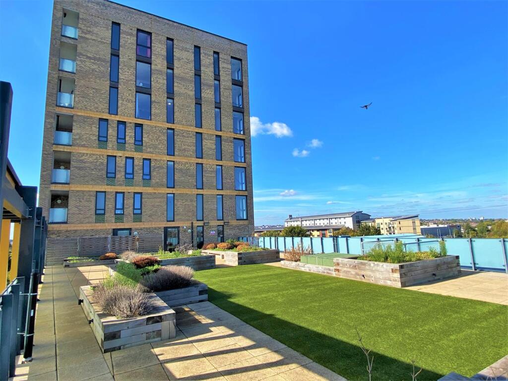 Rear com terrace.jpg