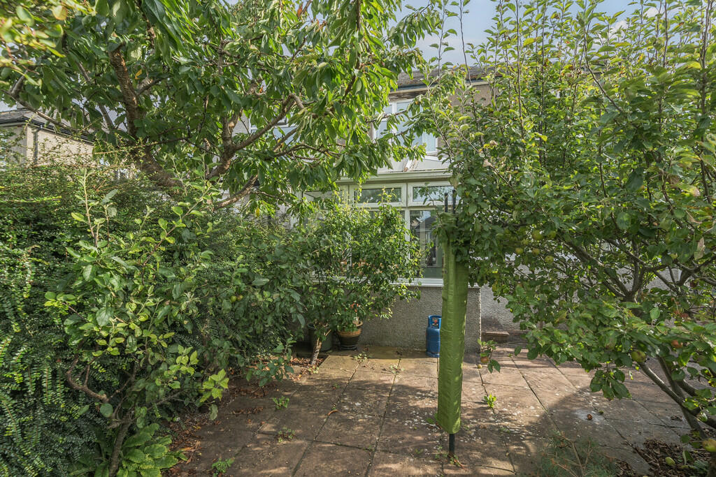Rear Patio