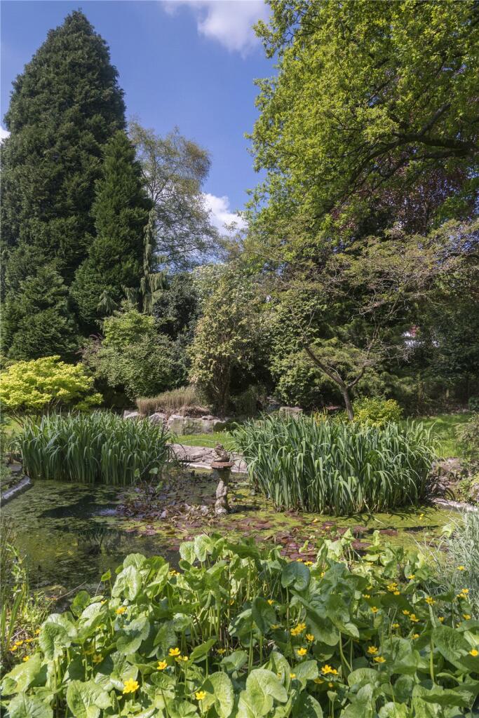 Pond