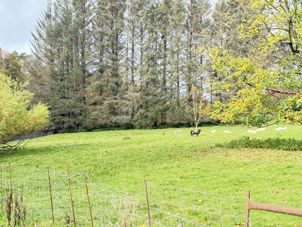 IMG 1748 T202510301648.jpg