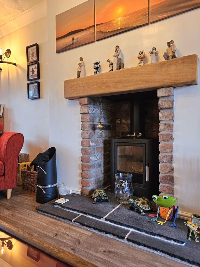 Multi Fuel Stove Fire