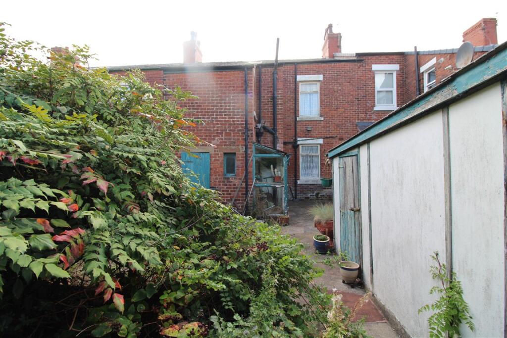 IMG 6534  Medium  T202509101545.jpg