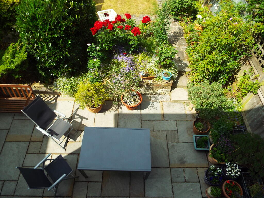 Garden (9)