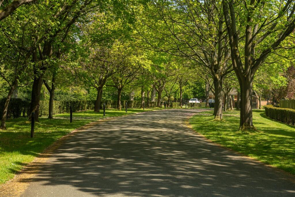 Bradley Springs, Codicote-131.jpg