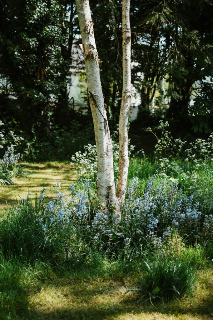 284794 - B0014500.jpg