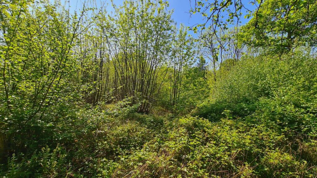 WhatsApp Image 2025-06-13 at 20.31.22 (3).jpeg