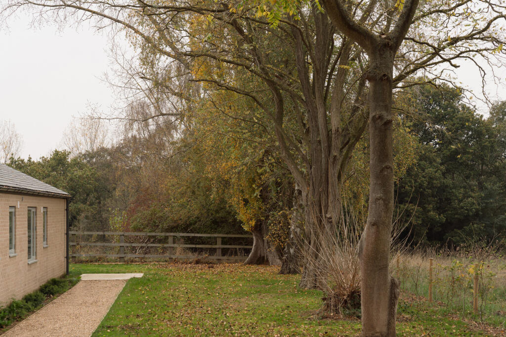 241032 - a0OP6000004lx8nMAA_N10-EDIT.jpg