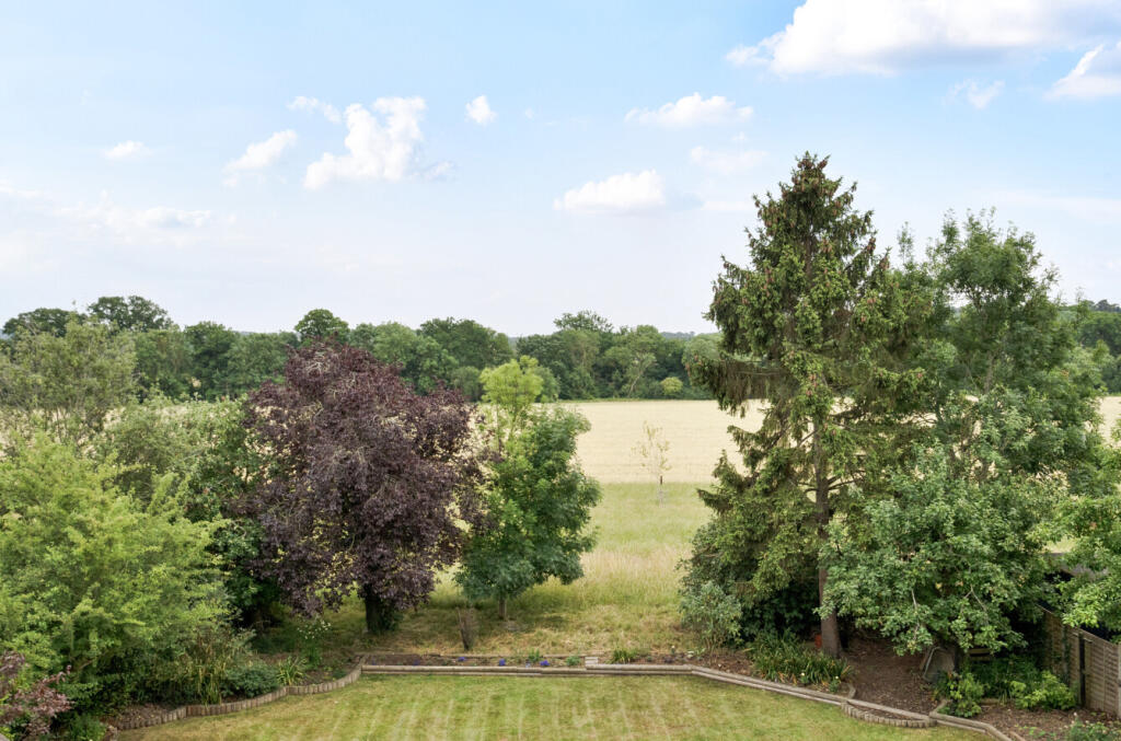 1311349-16-685574...