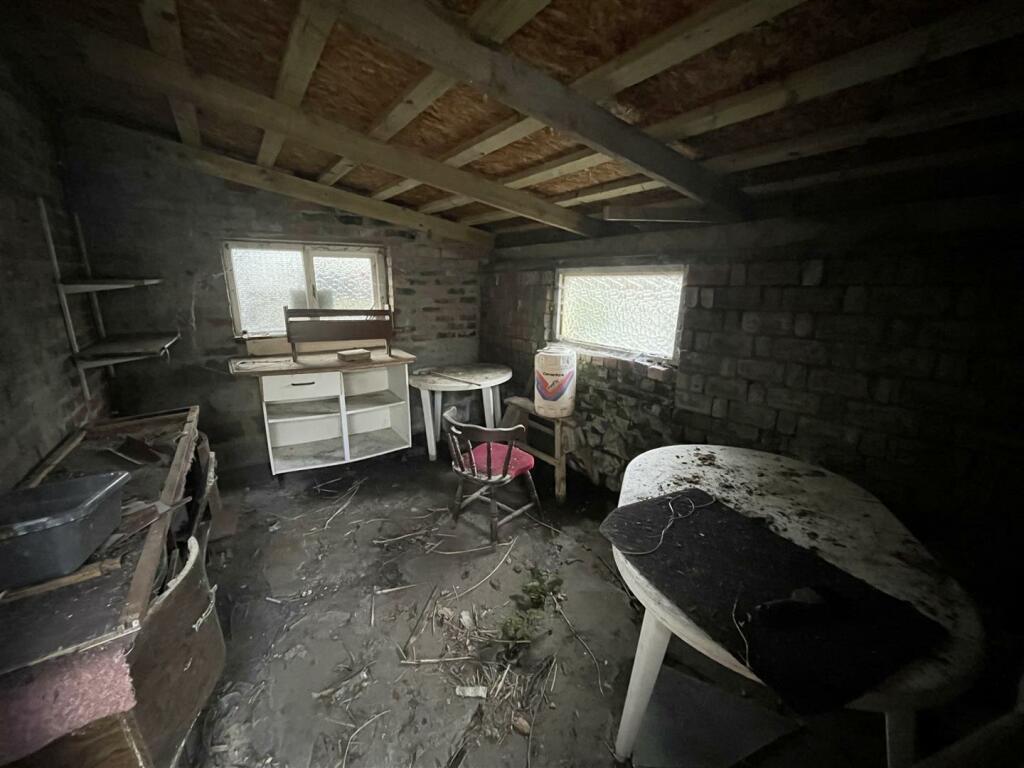 Back Shed
