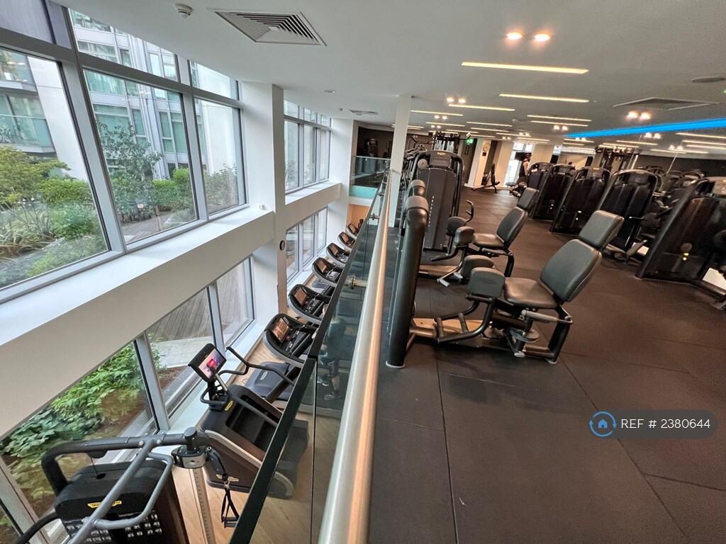 Same Floor Gym - Equipment